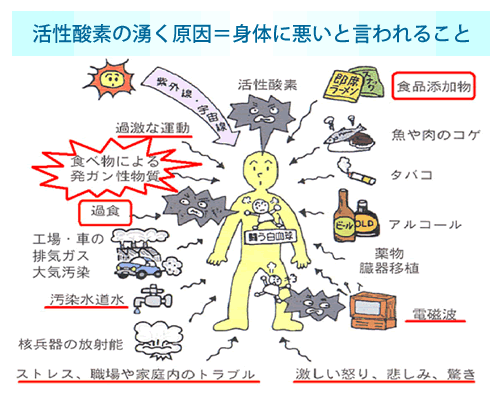 老化の原因