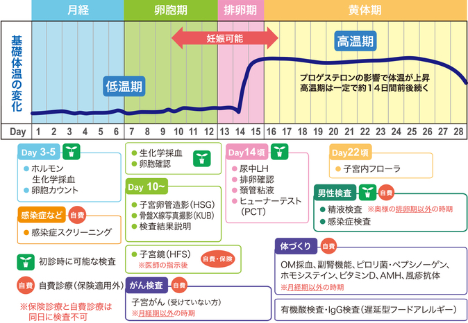 不妊検査の流れ